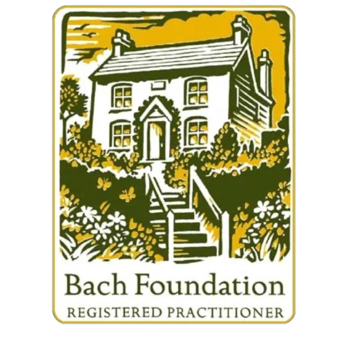 bach_foundation.png